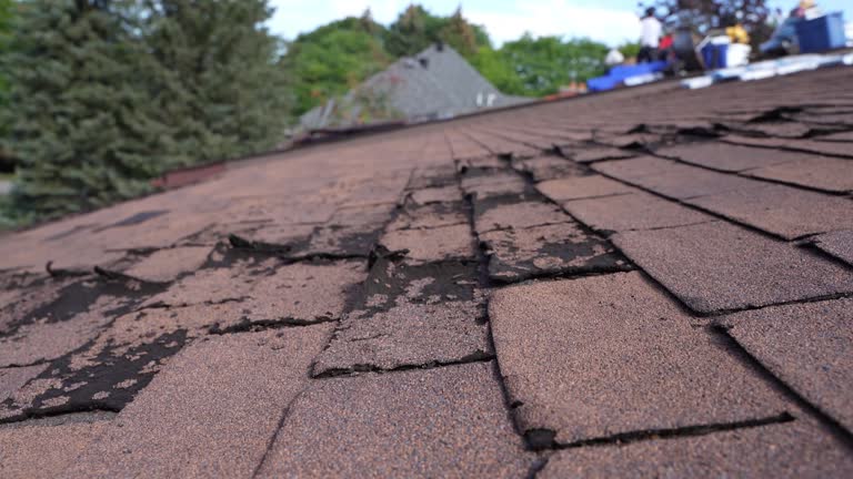 Trusted Pleasantville, NJ Roofing Services Experts